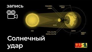 Александр Литвин: солнечный удар