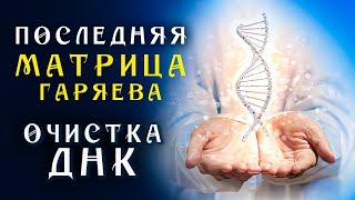 Последняя Матрица Гаряева ☀️ Очистка ДНК Величайшее Творение Ученого ☀️ Квантовое исцеление Звуком
